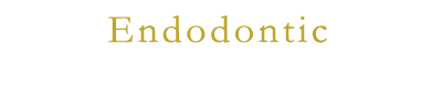 Endodontic 歯内療法（根管治療）について